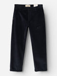 BGpalco Cord Chino - Navy